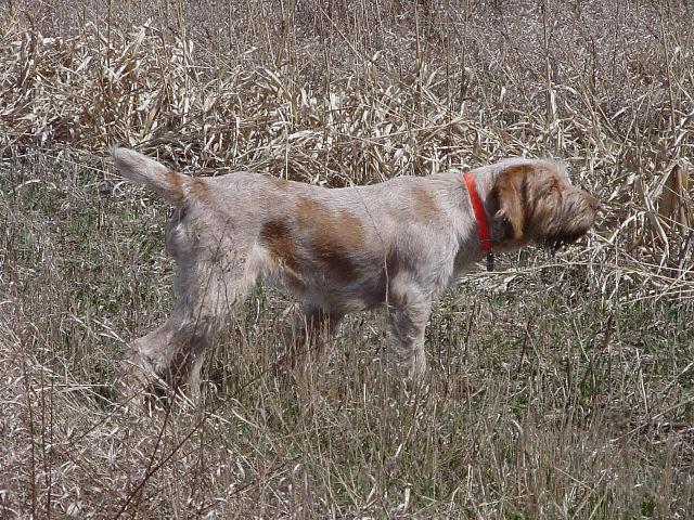 041203 Ezza Pointing.jpg - Ezza